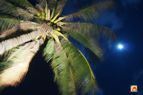 My attempts to create some artsy night photos…