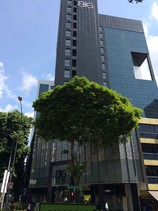 The BIG Hotel in Singapore Review