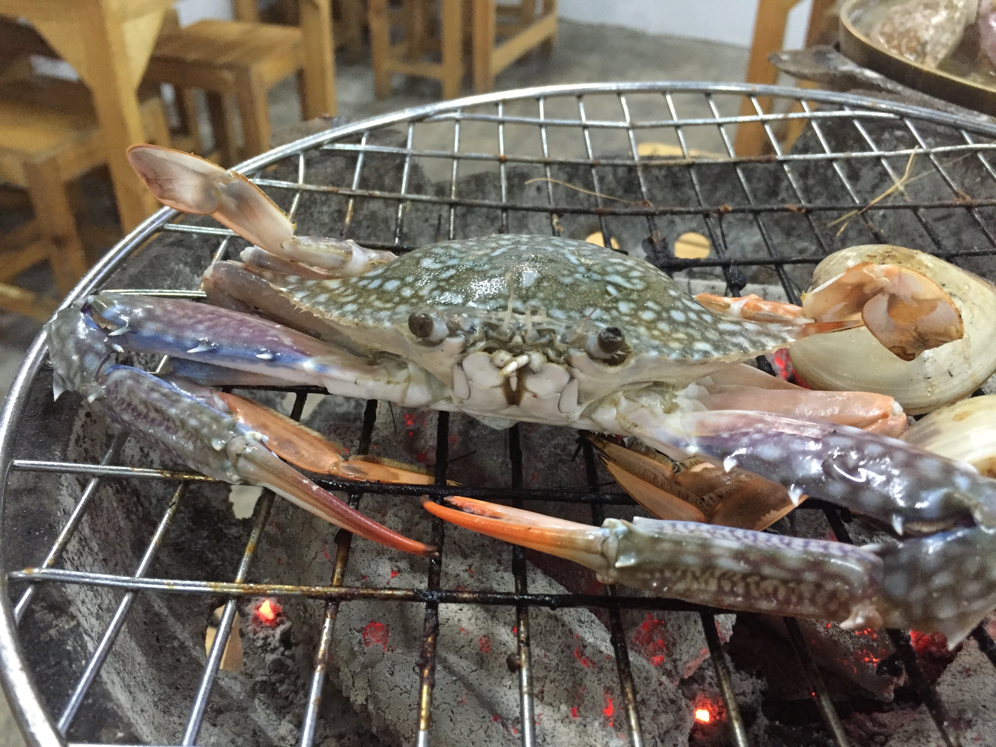 All You Can Eat Seafood, BBQ and Beer in Huay Kwang, Bangkok