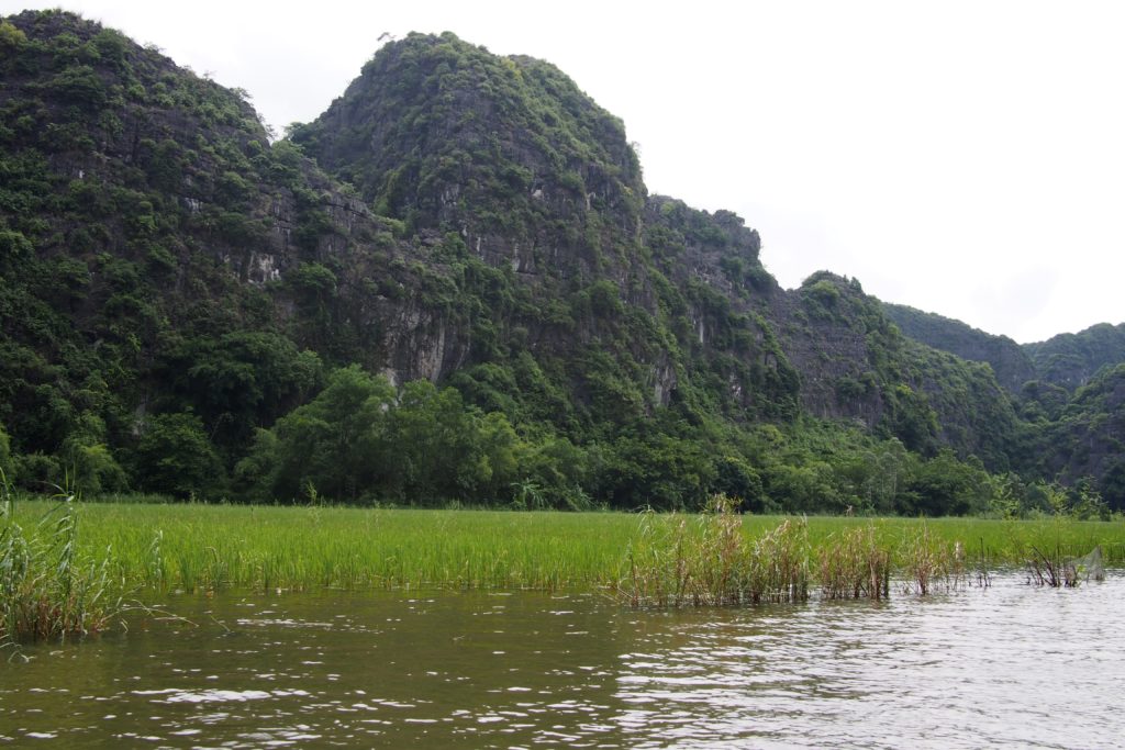 Ngo Dong River