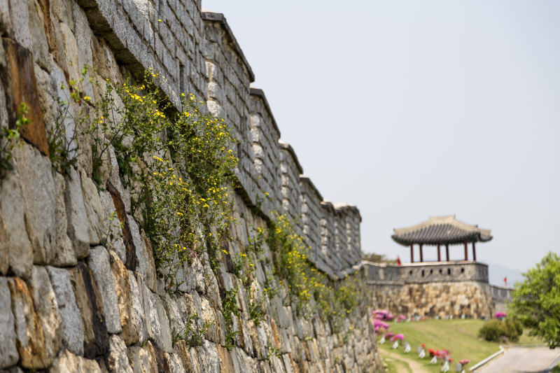 return to suwon south korea