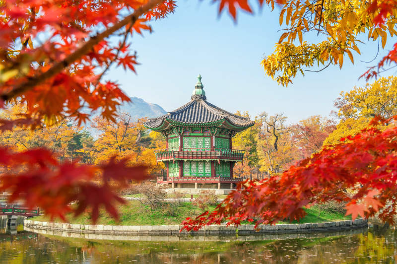 Seoul is beautiful in Fall Season