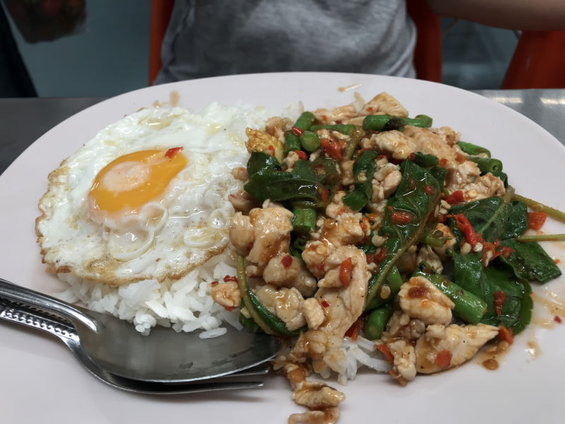 Thai holy basil with chicken and fried egg over rice