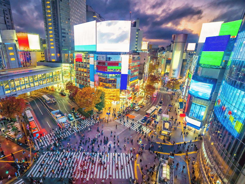 Best Hotels in Shinjuku for Your First Epic Visit Tokyo Japan