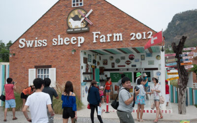 Heading to Cha Am Beach? Might as well swing by the Swiss Sheep Farm